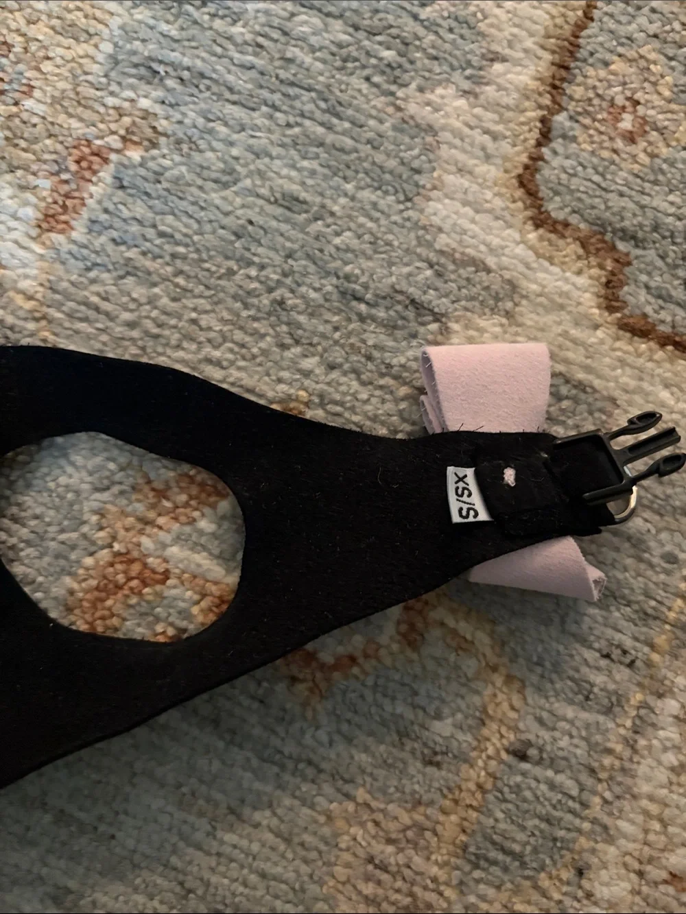 Susan lanci step in harness
